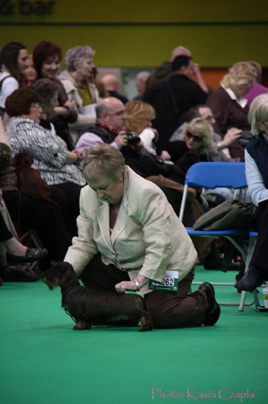 Crufts2011_2 973.jpg